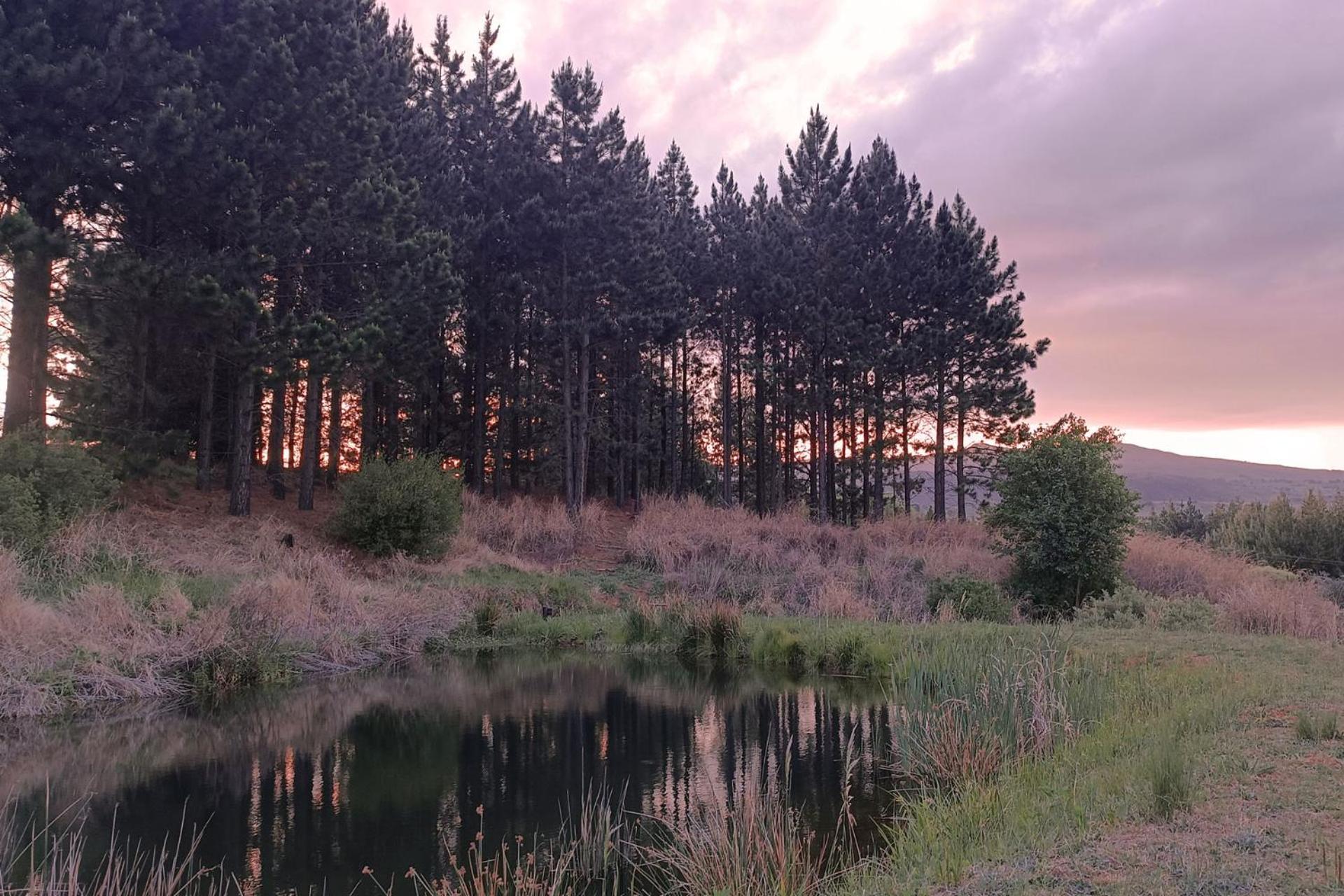 Schaefers' Halt Hotel Dullstroom Buitenkant foto