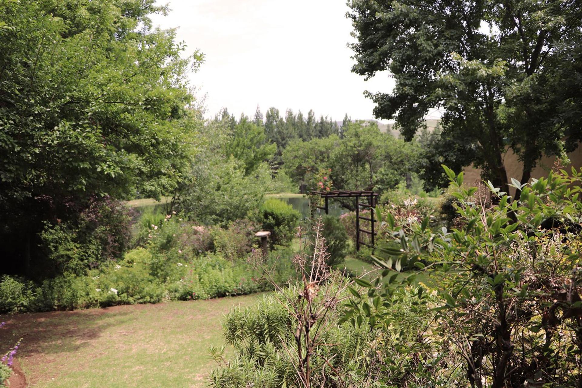 Schaefers' Halt Hotel Dullstroom Buitenkant foto