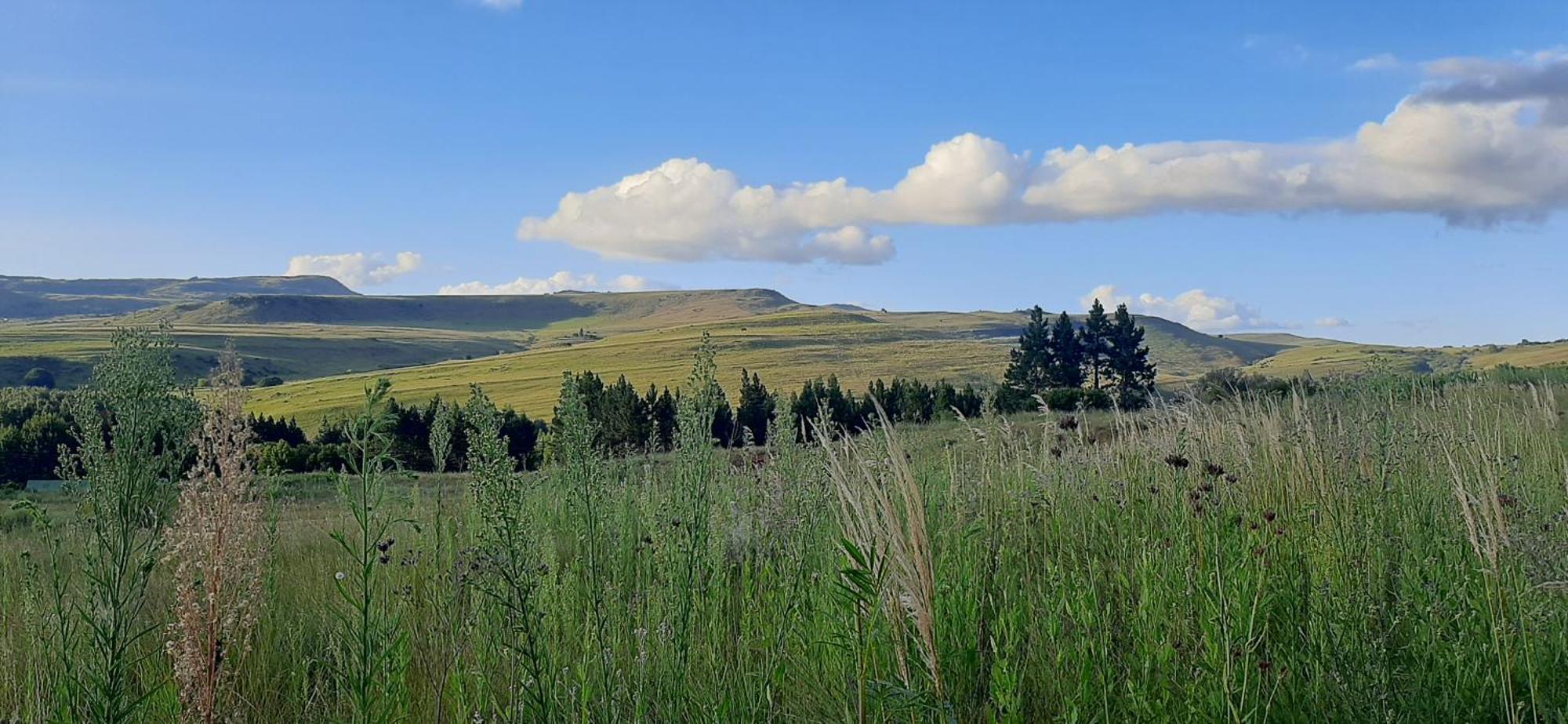 Schaefers' Halt Hotel Dullstroom Buitenkant foto