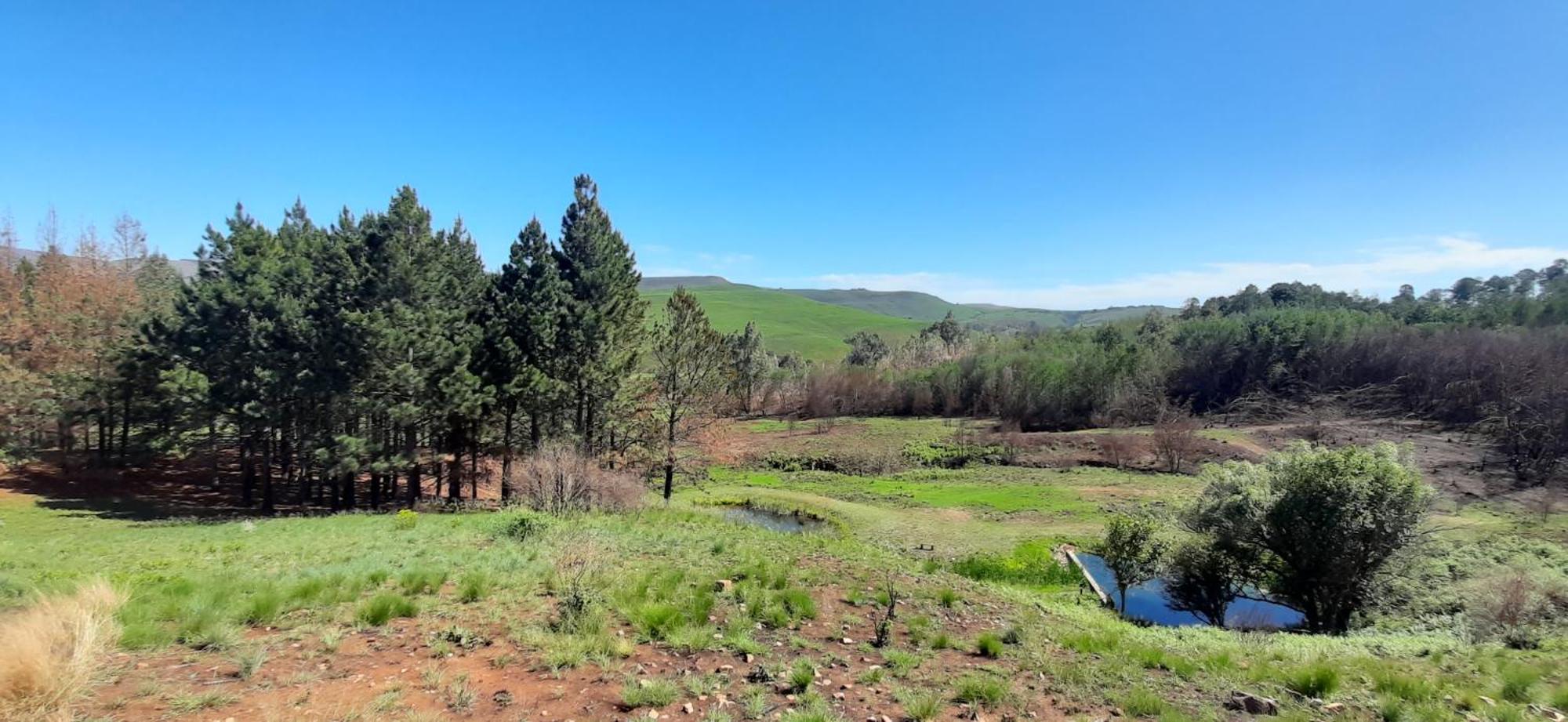 Schaefers' Halt Hotel Dullstroom Buitenkant foto
