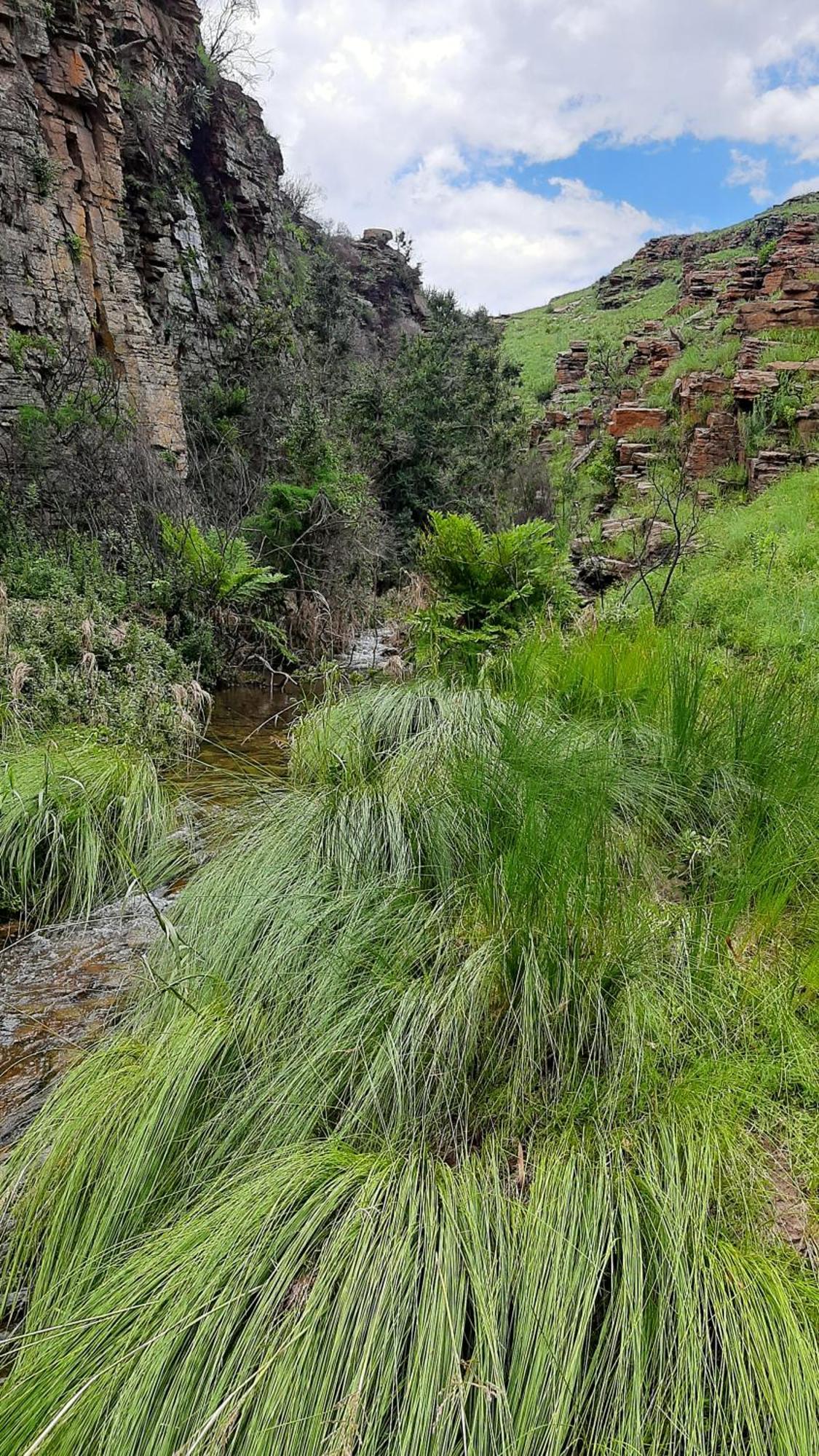 Schaefers' Halt Hotel Dullstroom Buitenkant foto